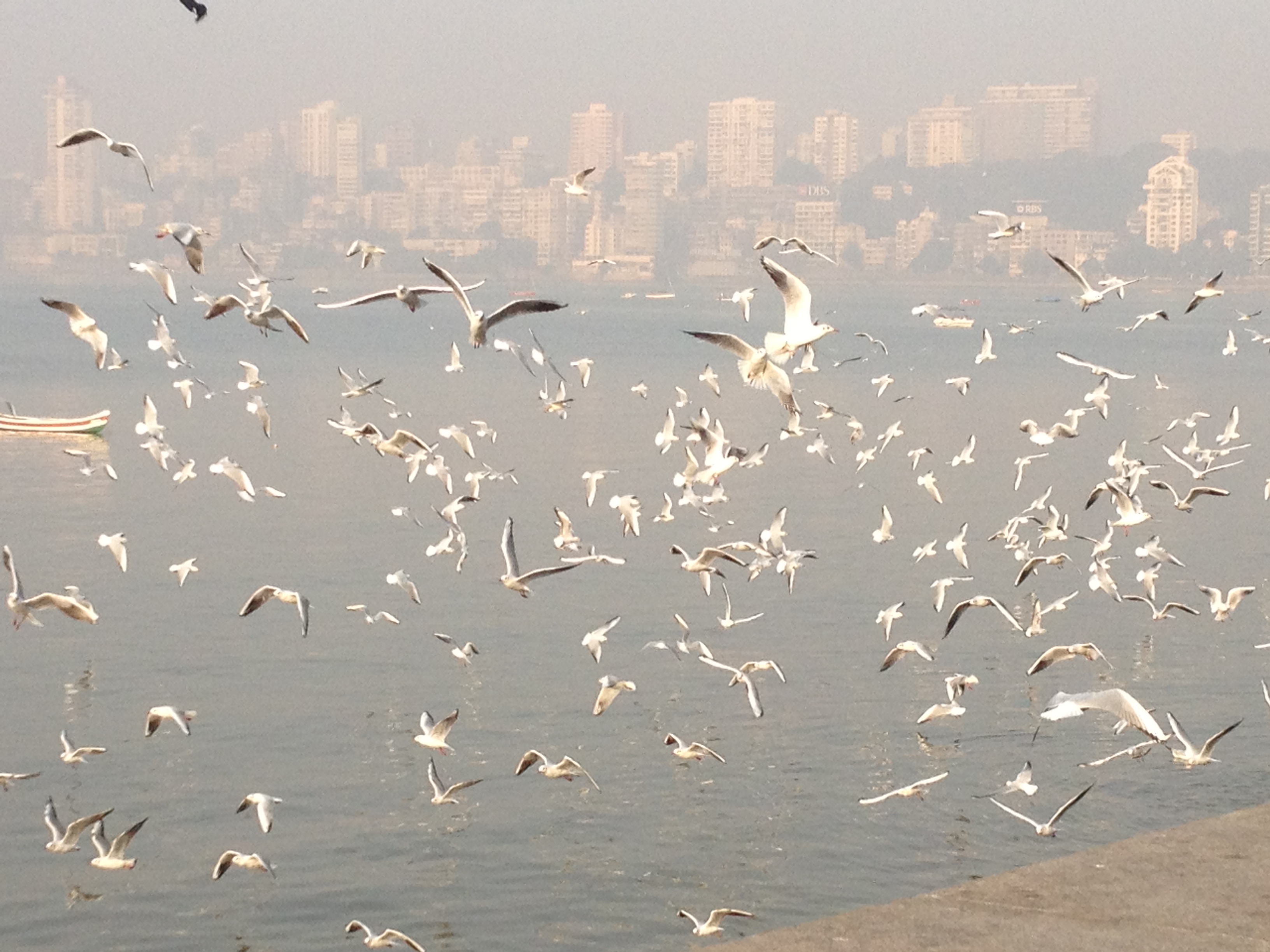 Good morning, Mumbai!