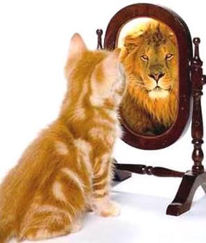 cat-looking-into-mirror-lion